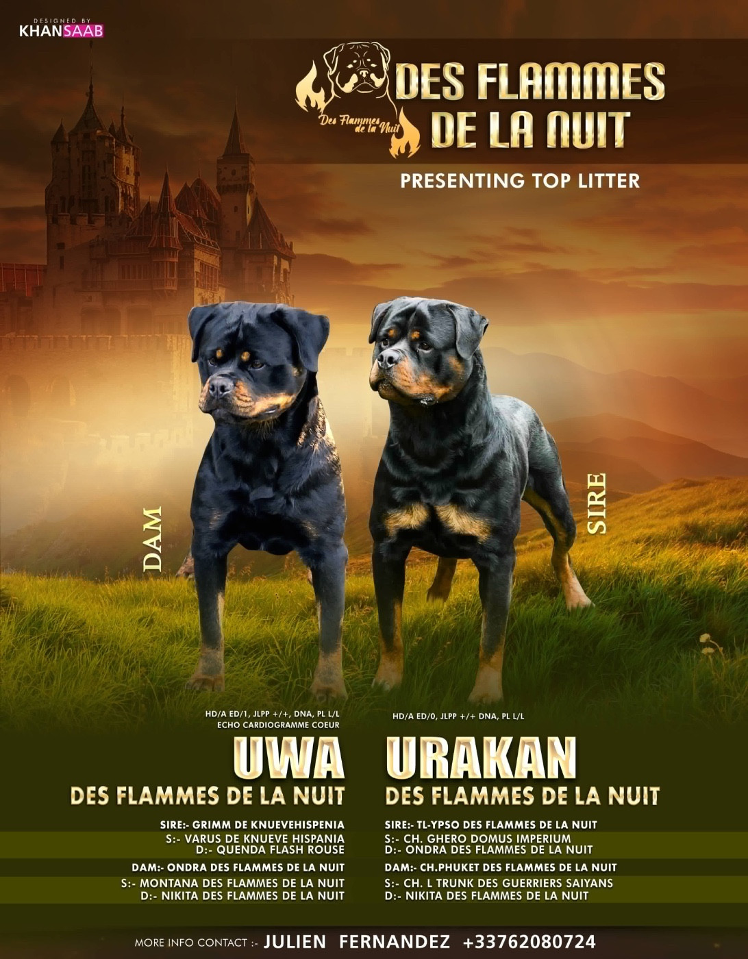 Nouveau mariage, 2026