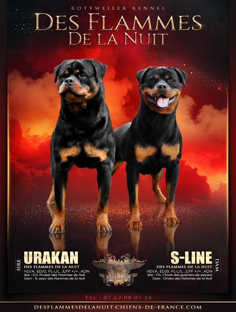Confirmation De l union entre S-line & Urakan 